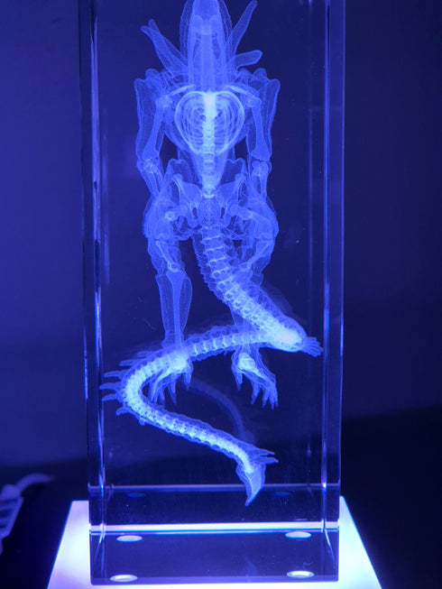 X-Ray relic: Xenomorph